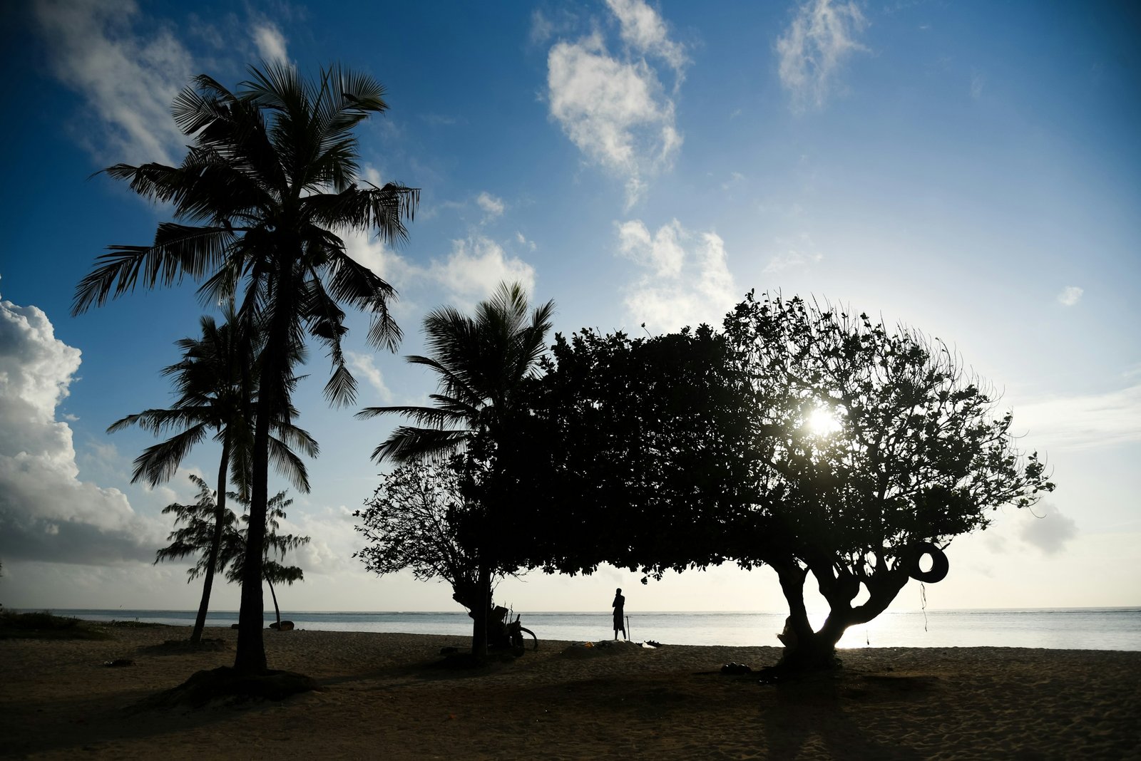 Golden light through palm trees on a Kenyan beach